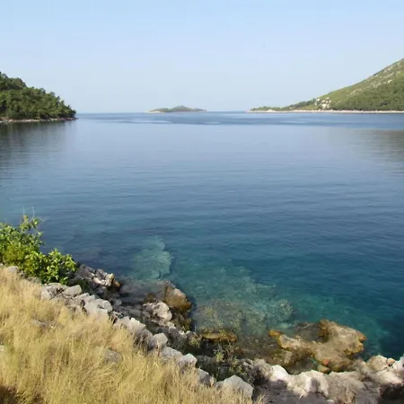 Dalibor By The Sea *