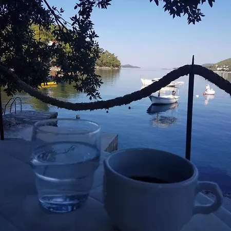 Apartment Dalibor By The Sea Brna