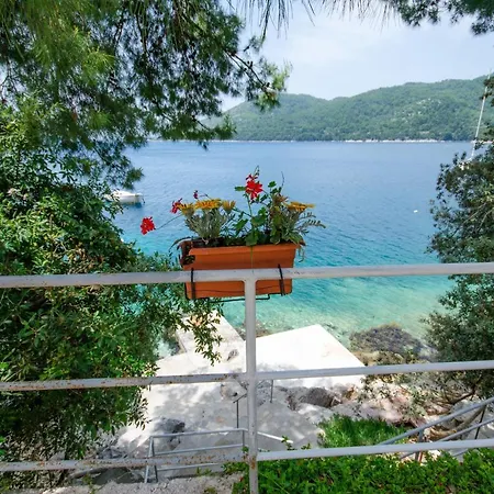 Dalibor Apartman