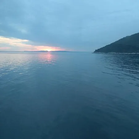 Dalibor By The Sea